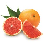 Citrus paradisi rot - Stamm 15-25 cm - Gesamth&ouml;he 50-60 cm - Topf 11 x 11 cm