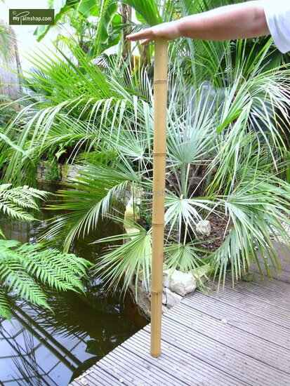 10 x Bambusrohr 150cm x &Oslash; 16-18 mm