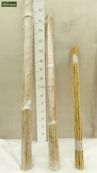 25 x Bambusstäbe 180 cm [Palette]