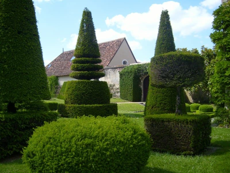 Formschnitt