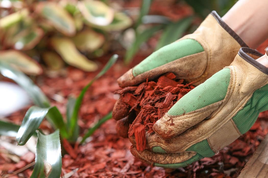 Gartengestaltung