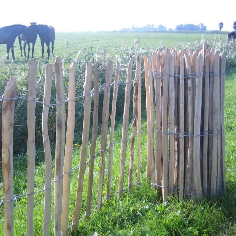 Staketenzaun
