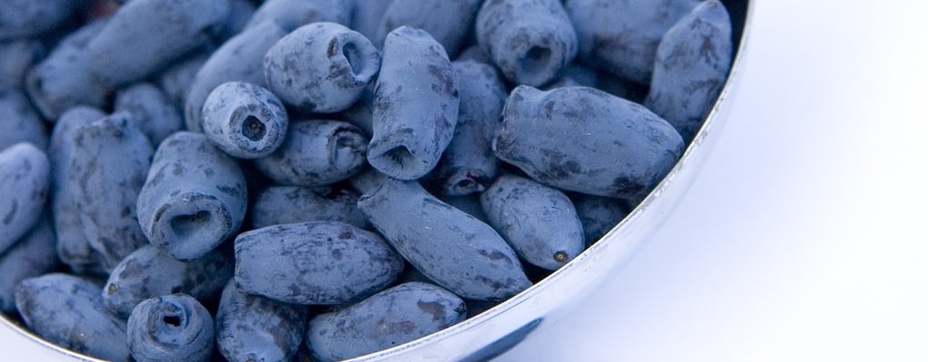 Beeren