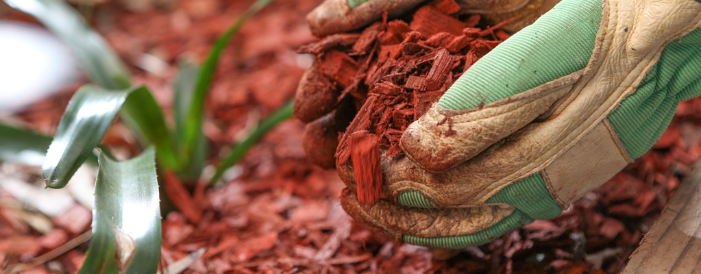 Gartengestaltung