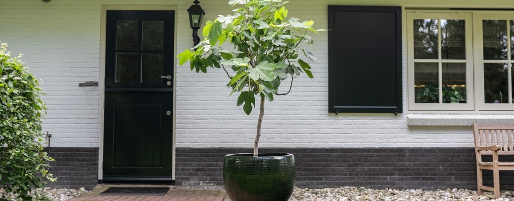 Ziertöpfe