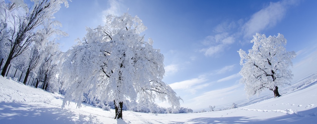 Winterschutz