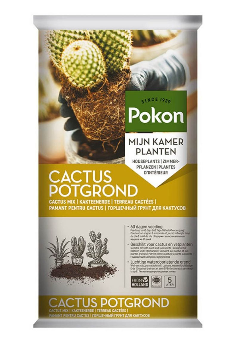 saatgut fr garten Bio-Saatgut Abobox 'Gartengemse'