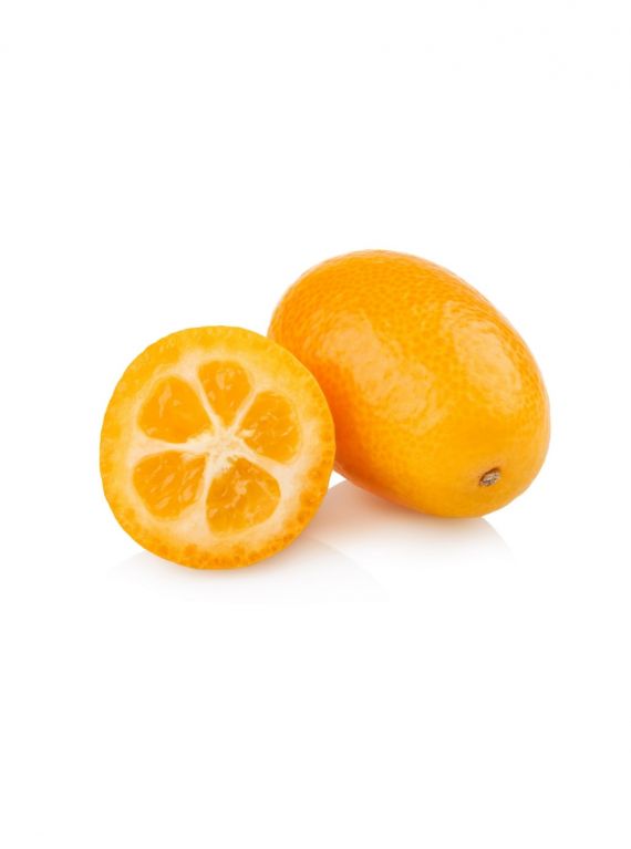 Citrus kumquat1