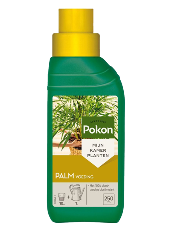Pokon Palmendünger - 250 mL
