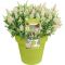 8740 - buddleja butterfly candy little white pot-min