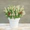 Buddleja butterfly candy little white 2-min