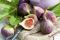 Ficus carica k-min